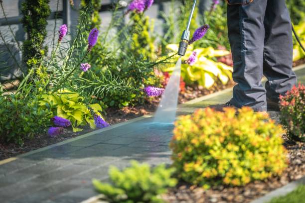 Professional Pressure Washing Services in Juarez, TX