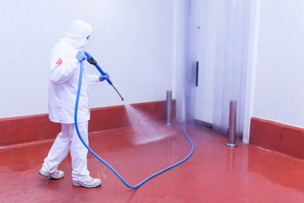 Best Paint Preparation  in Juarez, TX
