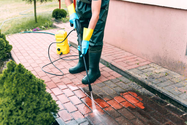 Best House Exterior Washing  in Juarez, TX